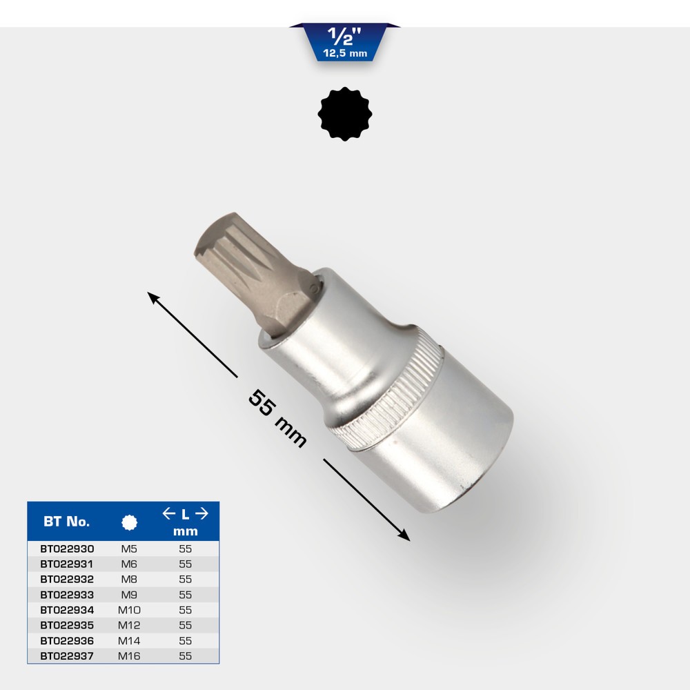 Produktabbildung Nr. 11: BRILLIANT TOOLS 1/2" Vielzahn-Bit-Stecknuss, 55 mm lang, M6