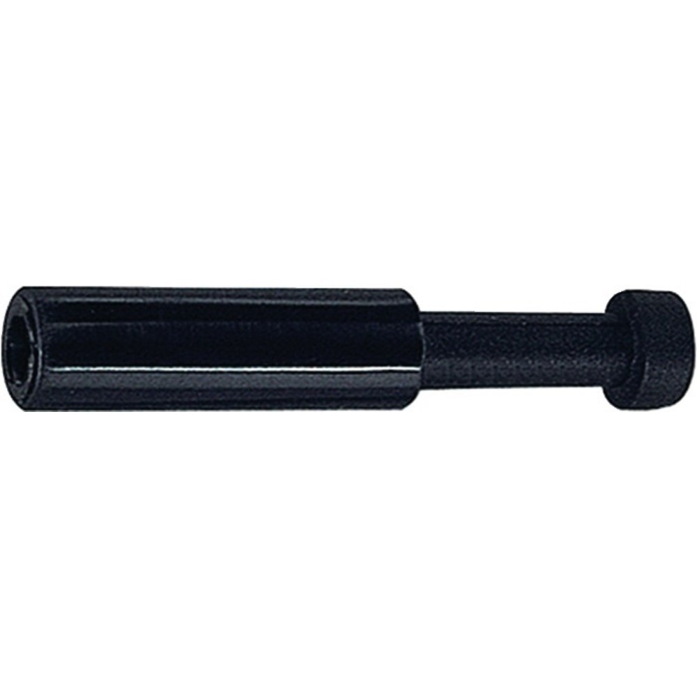 RIEGLER Verschlussstecker Blaue Serie, 6 mm, L1 33,6 mm