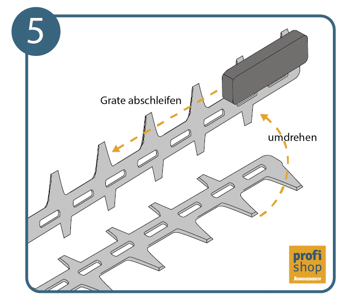 Die Schleifkanten an der Heckenschere entgraten